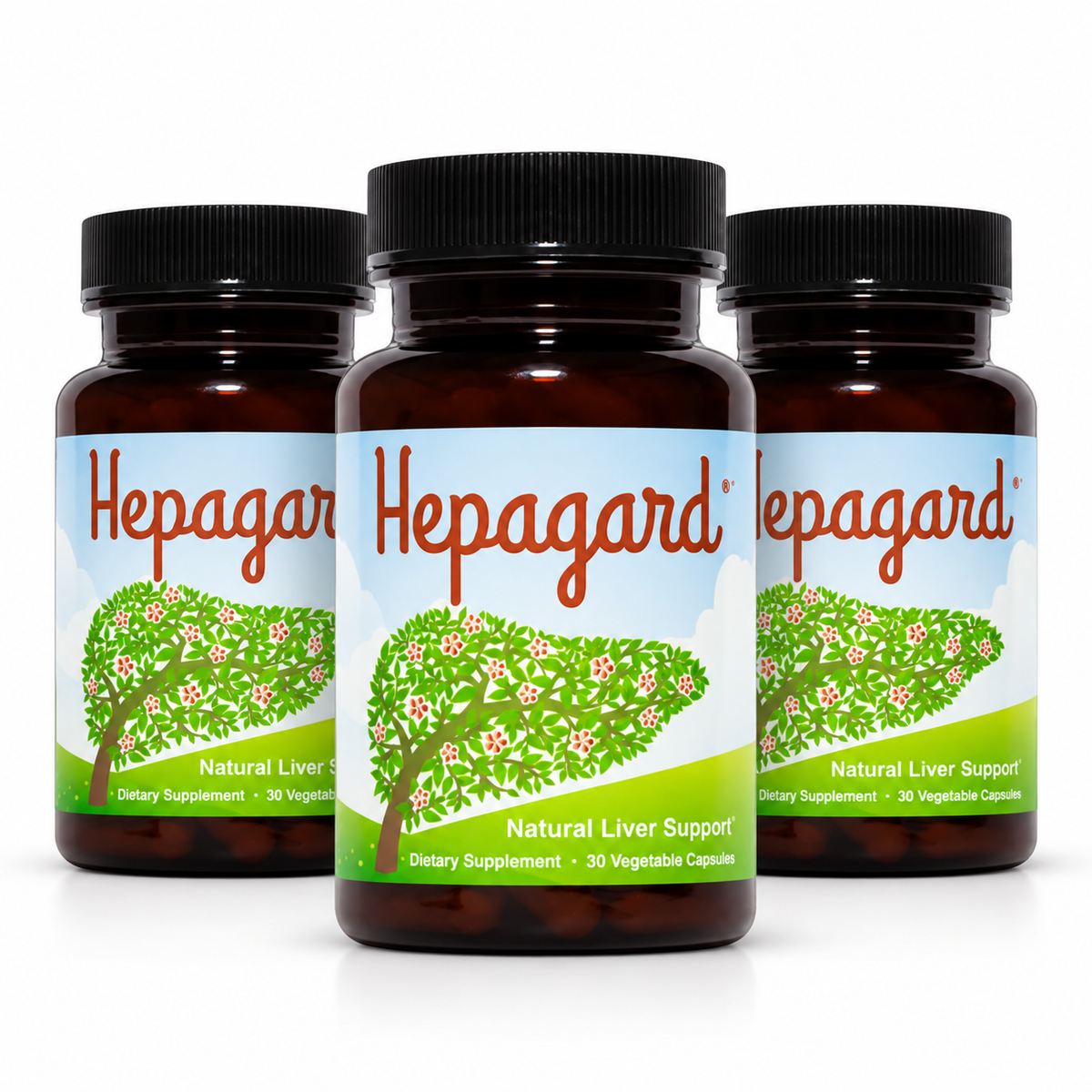 Hepagard Natural Liver Support Supplement with N-Acetyl Cysteine (NAC) 30 Capsule (PACK OF THREE)
