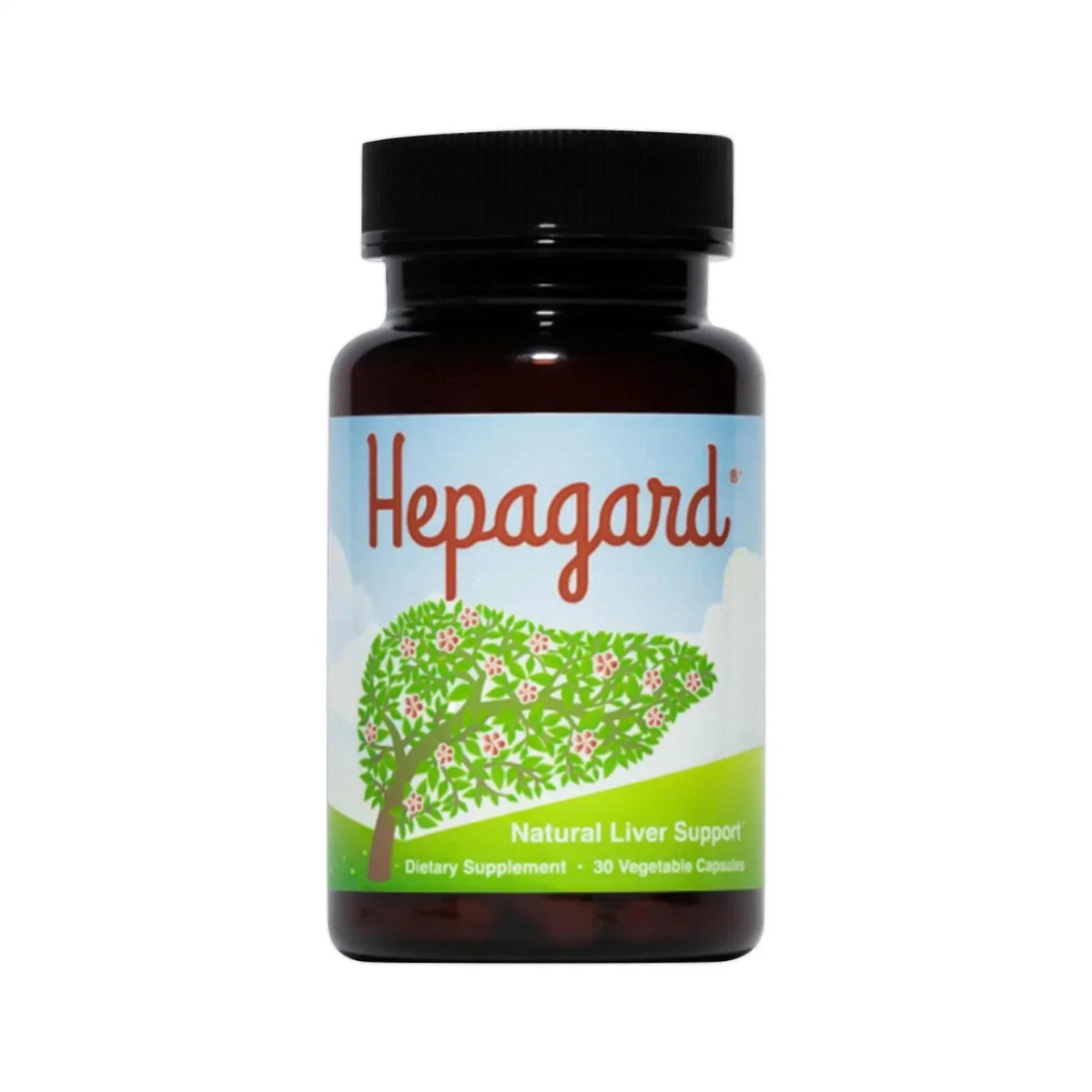 Hepagard Natural Liver Support Supplement with N-Acetyl Cysteine (NAC) 30 Capsule (PACK OF THREE)